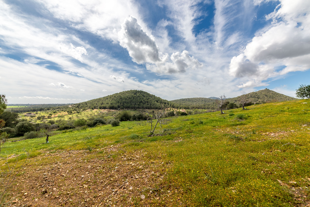 IMPRESSIVE PLOT WITH PROJECT WITH COASTAL VIEW