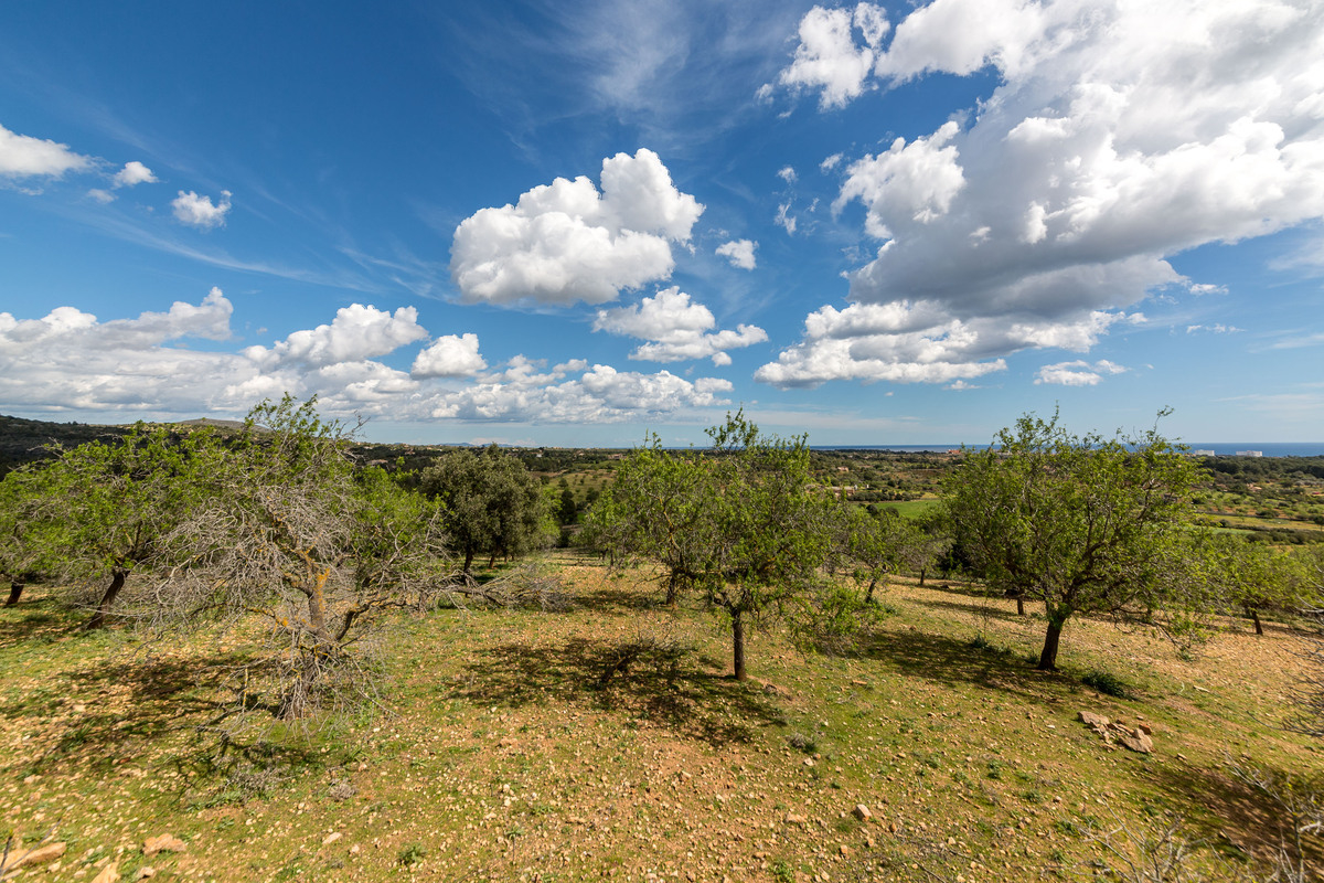 IMPRESSIVE PLOT WITH PROJECT WITH COASTAL VIEW